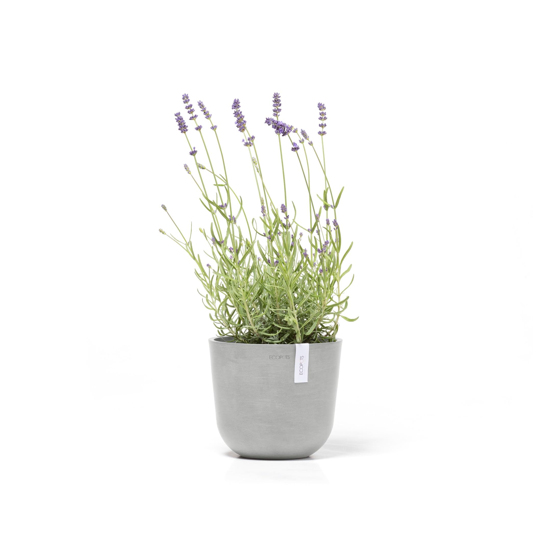 ecopots-oslo-pot-rond-gris-clair-19-cm-int-rieur-ext-rieur image 2