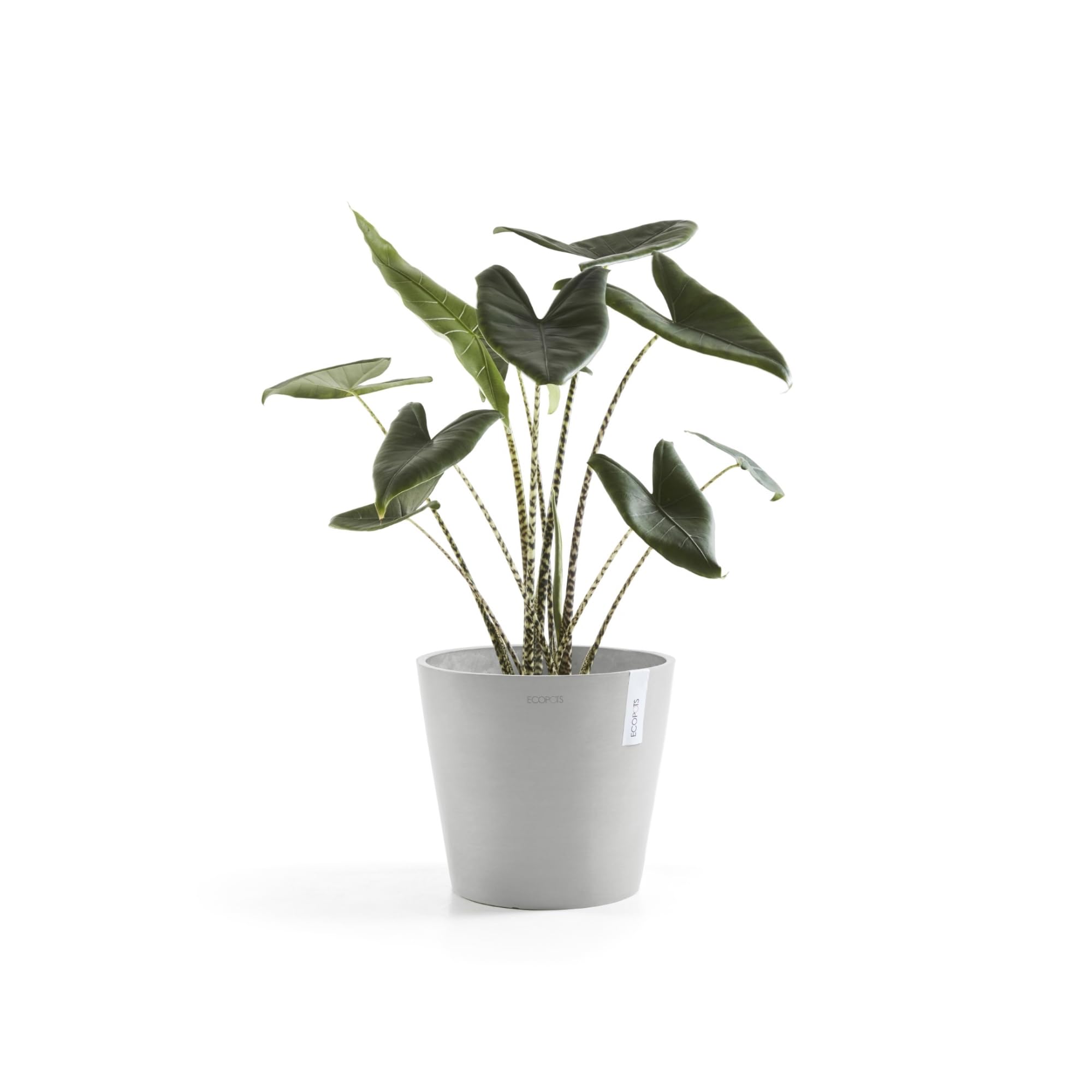 ecopots-amsterdam-pot-rond-30-x-h-26-cm-blanc-gris image 5