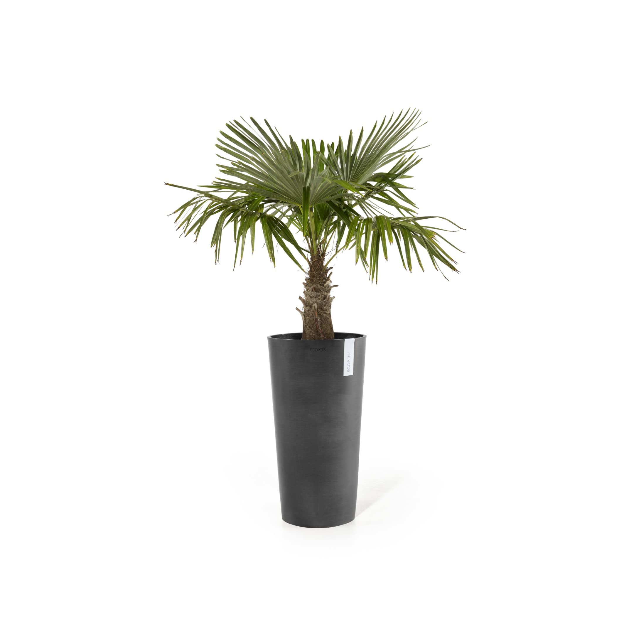 ecopots-amsterdam-high-76-pot-de-fleurs-haut-41-5-x-h-76-8-cm-int-rieur-ext-rieu image 2