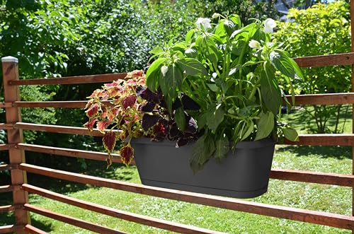 eda-chorus-jardini-re-50-cm-9-4-l-avec-r-serve-d-eau-et-plateau-clips-gris-anthr image 5