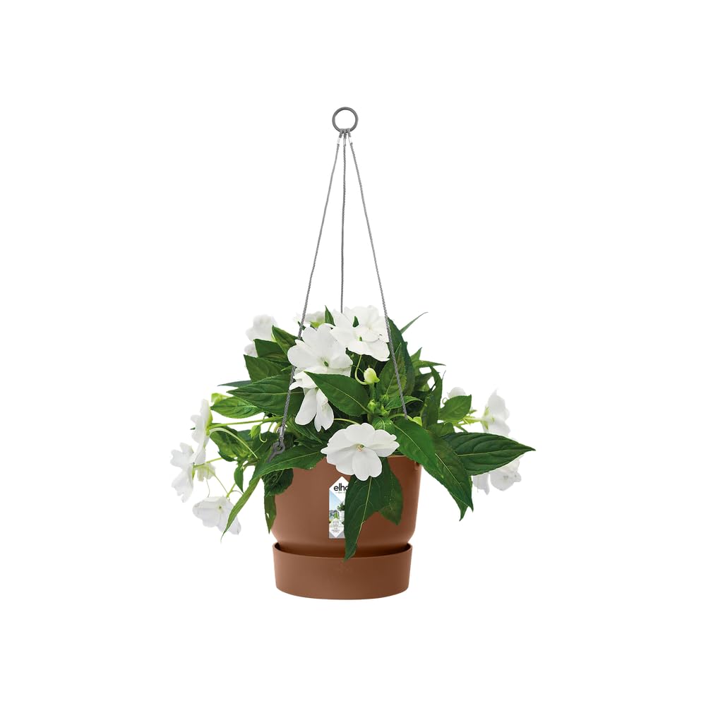 elho-greenville-suspension-24-cm-marron-glac-avec-soucoupe-int-gr-e image 3