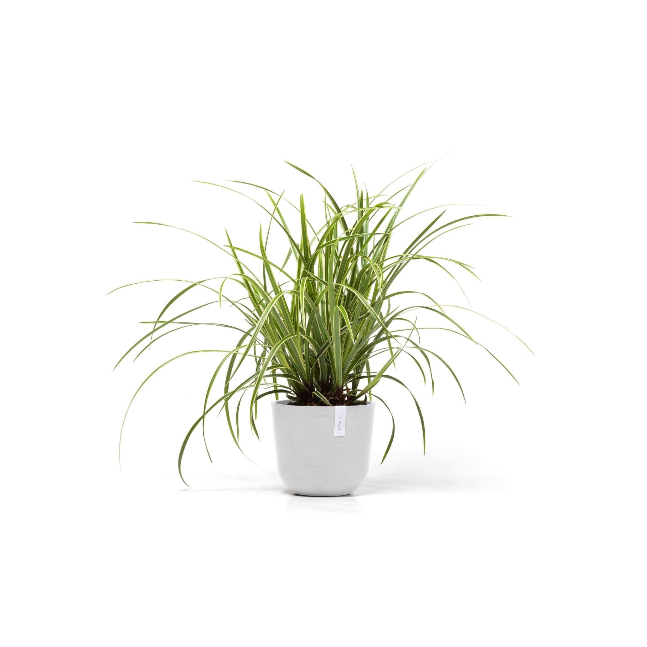 ecopots-oslo-pot-rond-blanc-19-cm-int-rieur-ext-rieur image 3