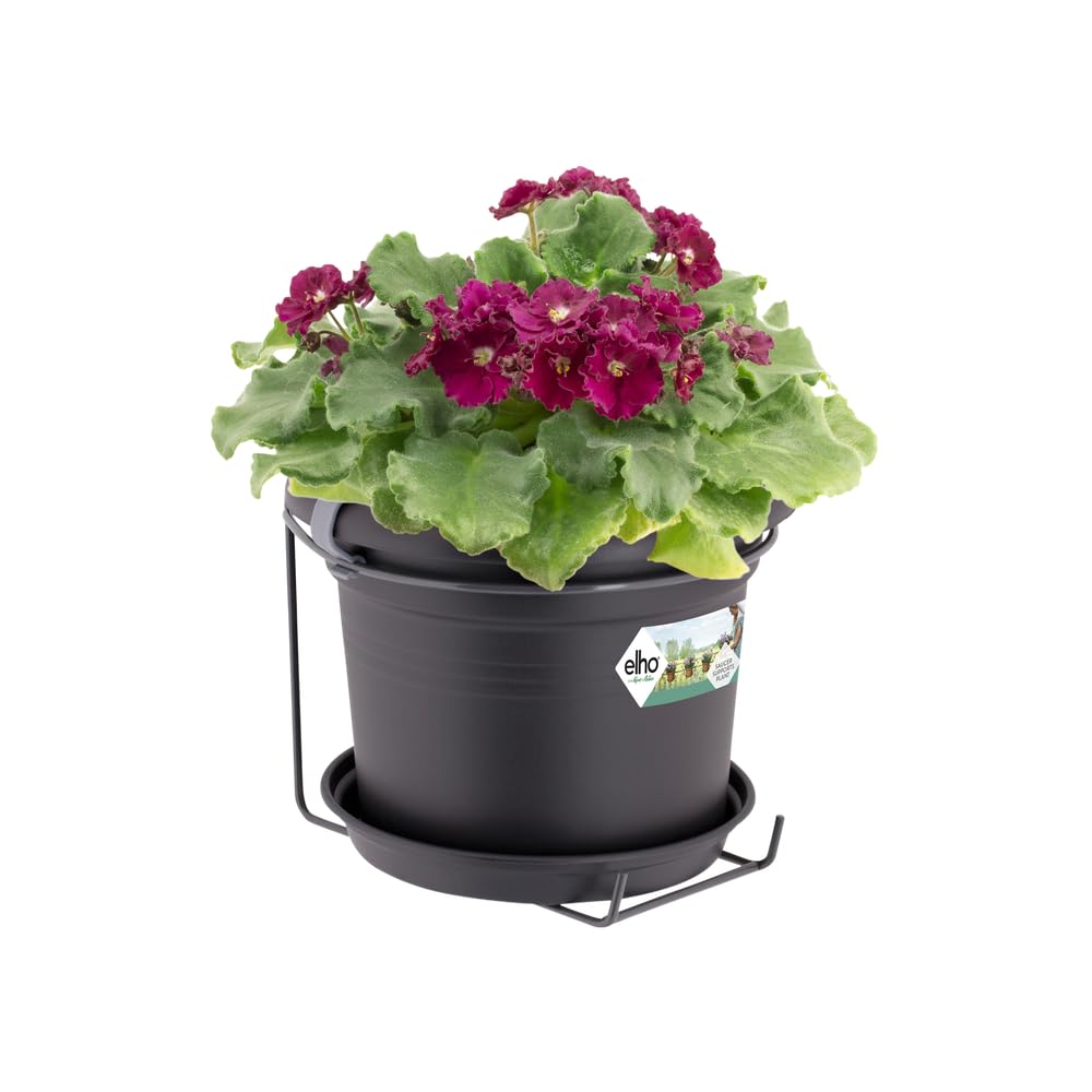 elho-green-basics-balconni-re-poth-allin1-noir-living-black-20-cm image 1
