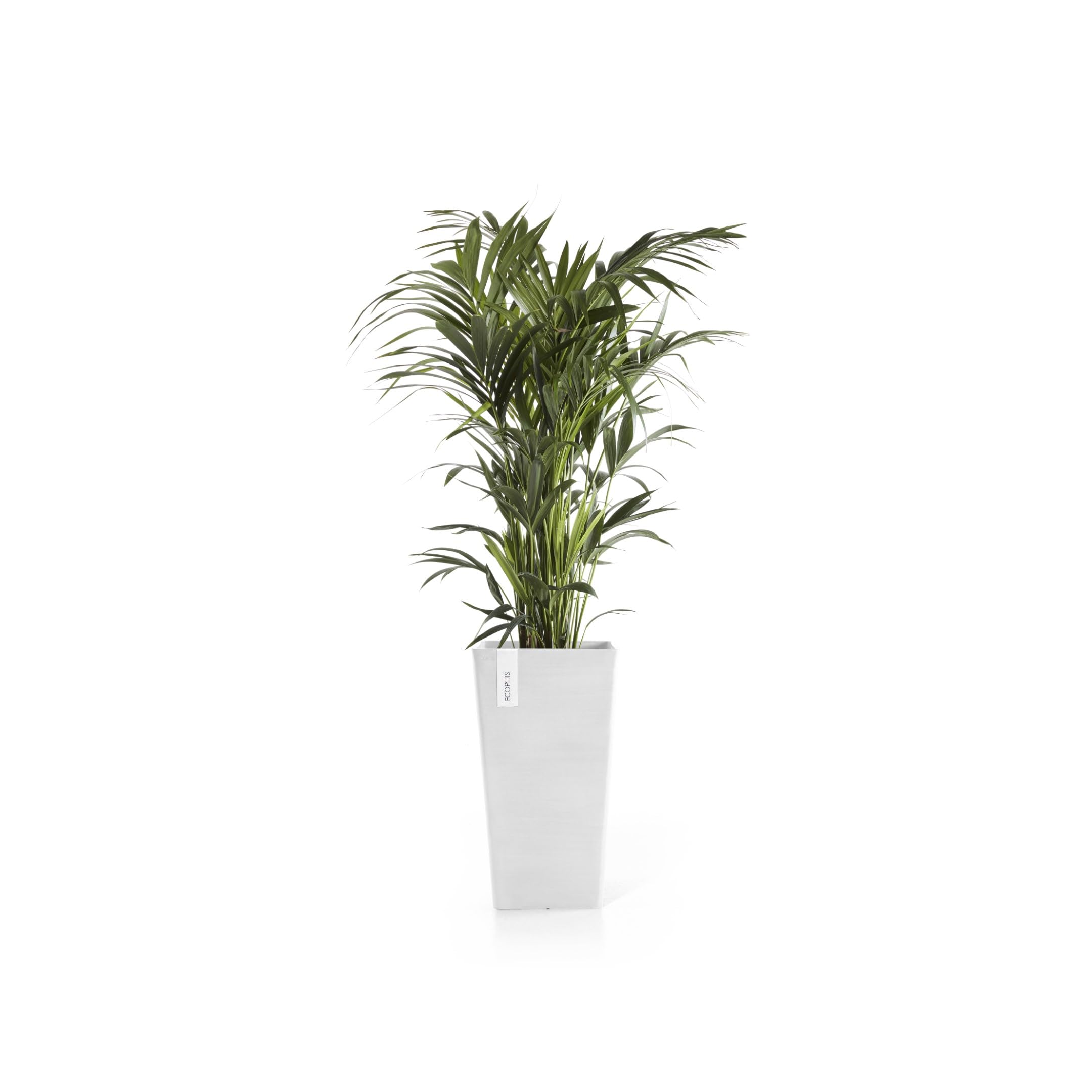 ecopots-rotterdam-mid-high-56-pot-pure-white image 2