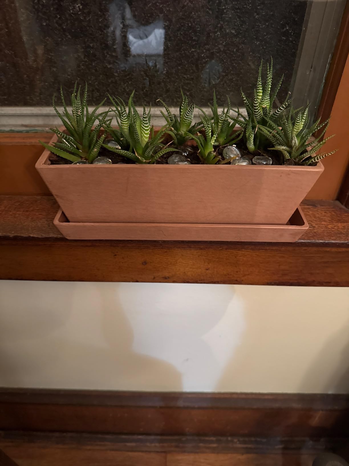 Adorable mini jardinière