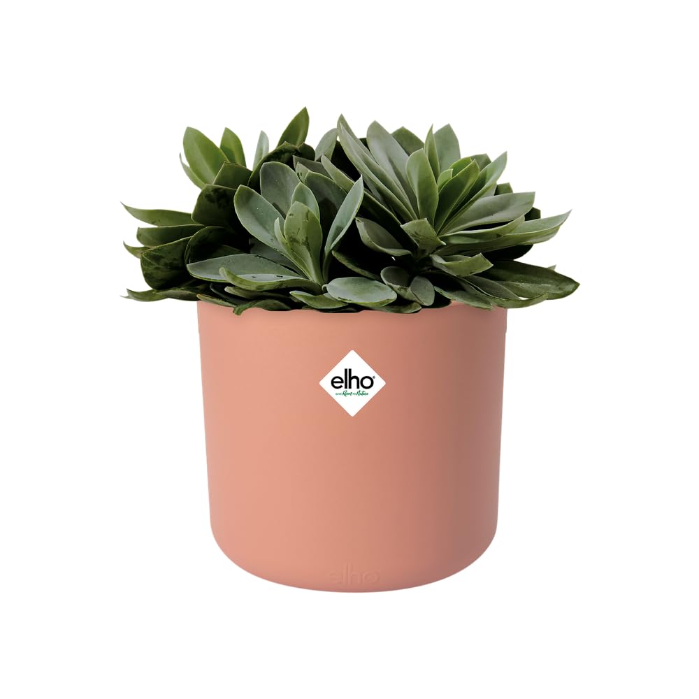 elho-b-for-soft-rond-14-cm-pot-de-fleur-rose-poudr image 3
