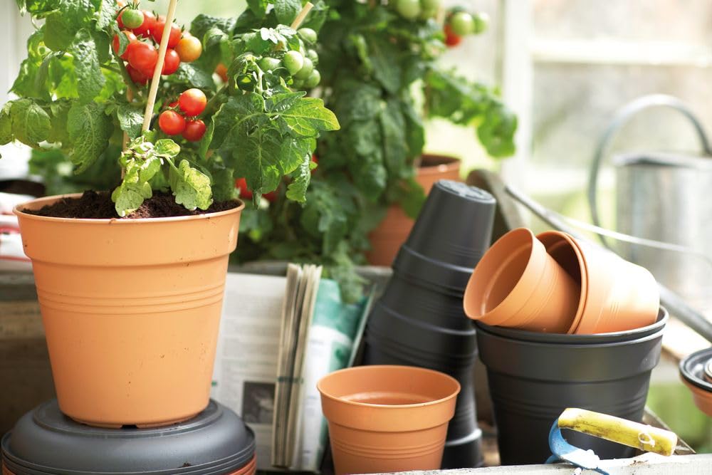 elho-green-basics-pot-de-culture-11-cm-mild-terra image 5