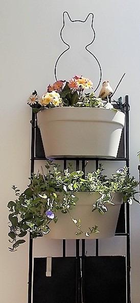 Parfaites pour petits espaces