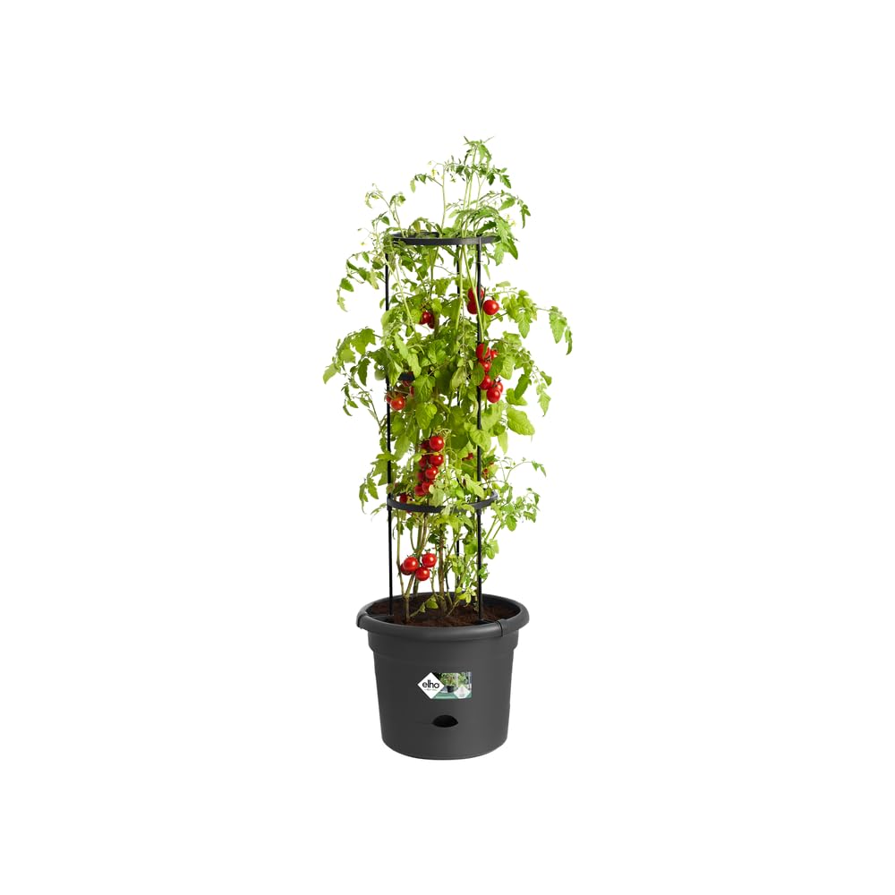 elho-green-basics-pot-tomate-33-cm-living-noir-33-5-x-h-26-cm image 3