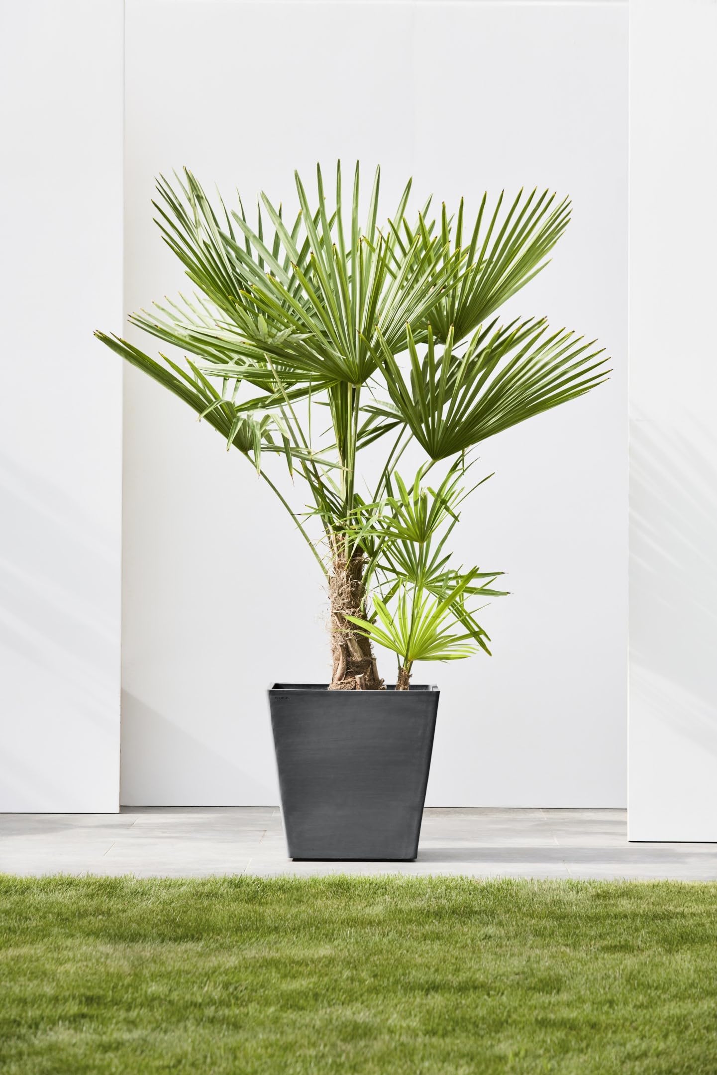 ecopots-rotterdam-grand-pot-sur-roues-50-gris-fonc-50-x-50-x-h-49-2-cm-76-3-l image 6