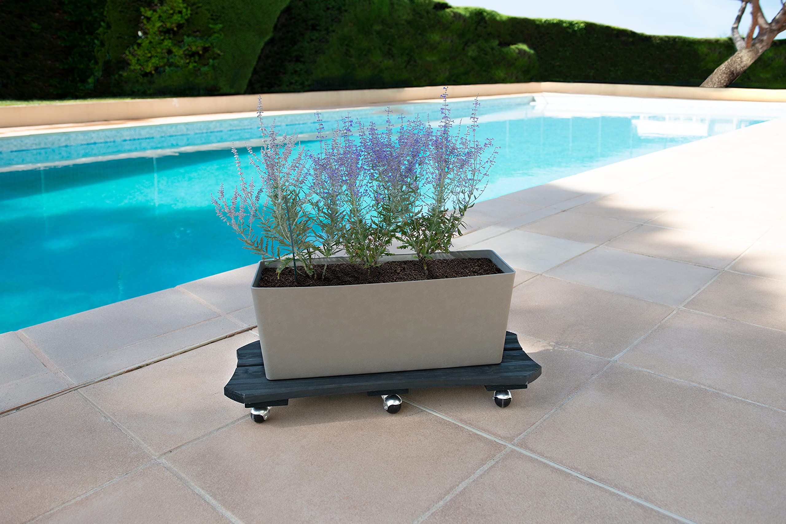 louis-moulin-roule-plantes-bois-sp-cial-bac-70x30-cm-anthracite image 4