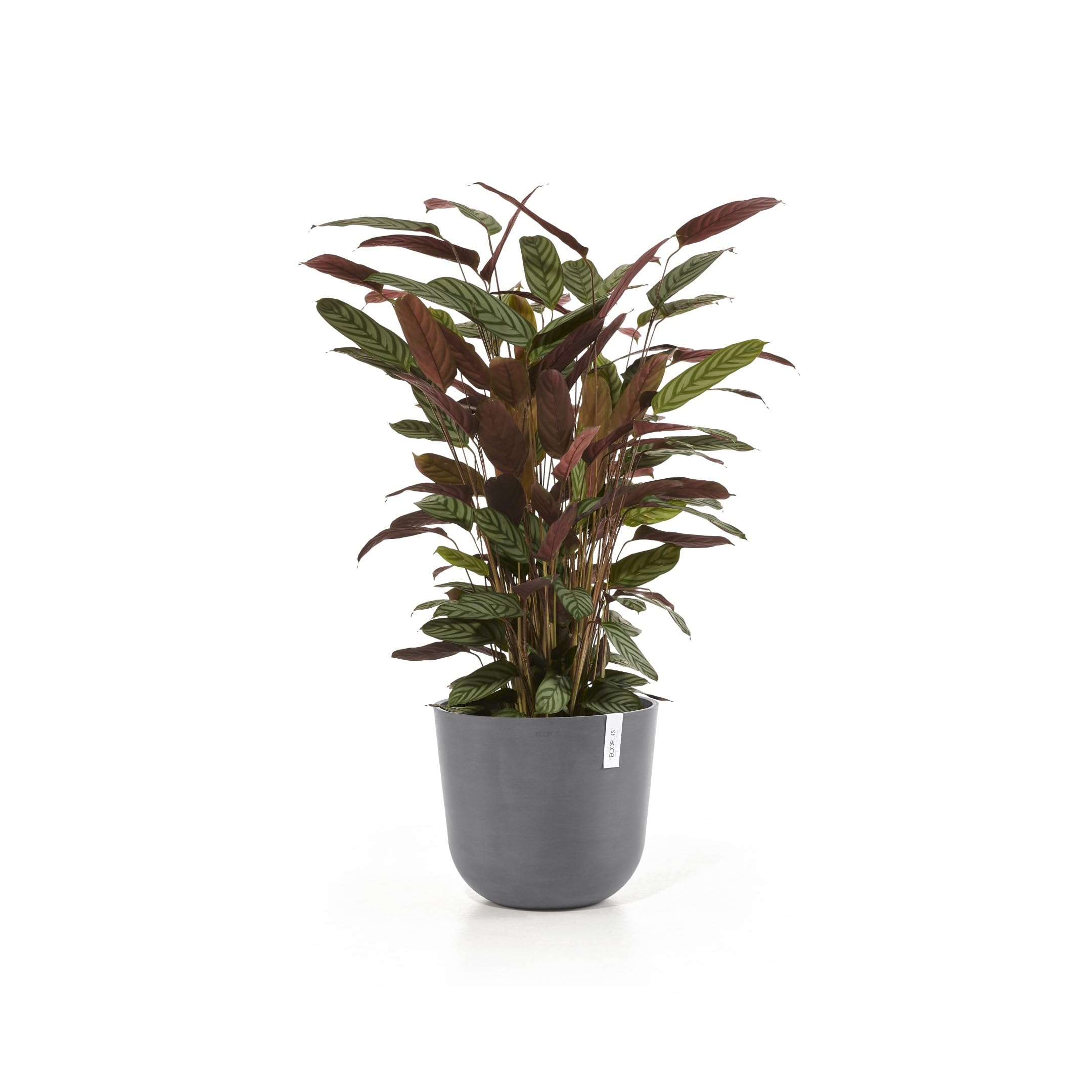 ecopots-oslo-35-pot-rond-avec-r-servoir-d-eau-gris-35-x-h-30-5-cm-21-7-l image 2