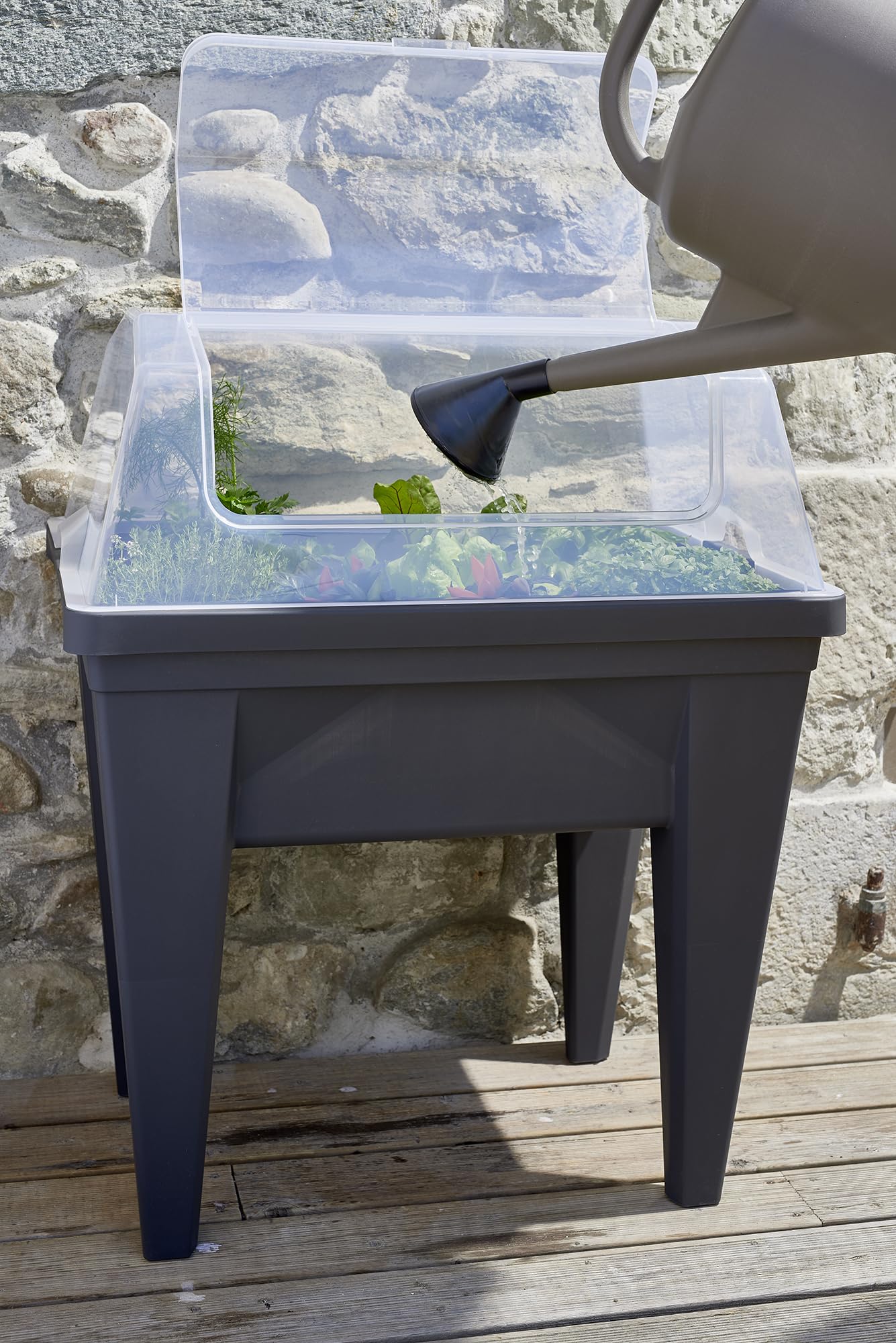 eda-serre-de-culture-pour-espace-potager-veg-table-max-transparent image 8