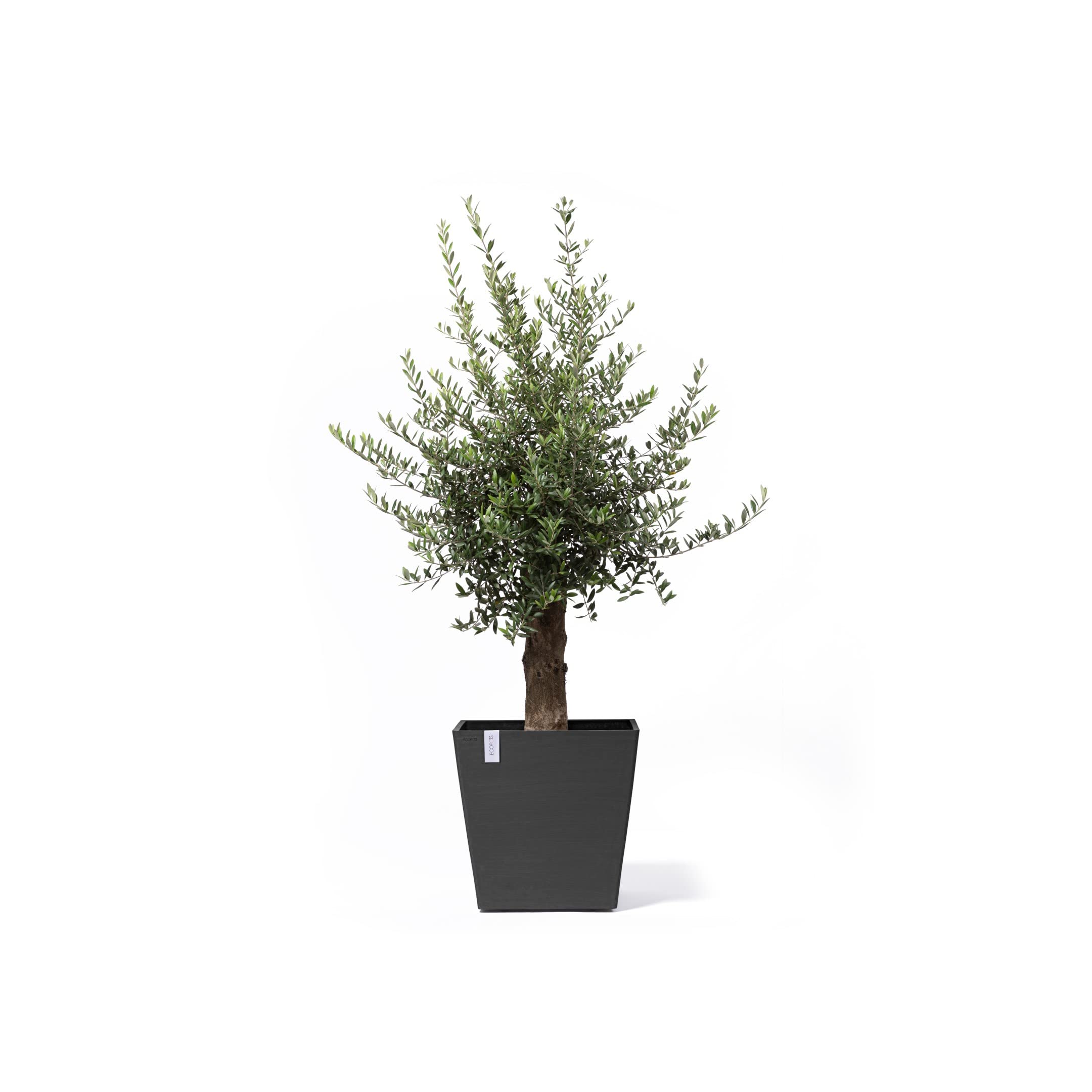 ecopots-rotterdam-grand-pot-sur-roues-50-gris-fonc-50-x-50-x-h-49-2-cm-76-3-l image 2