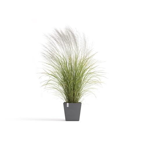 ecopots-pot-carr-rotterdam-35-gris-r-servoir-d-eau-35-2-x-35-2-x-h-34-cm-30-l image 7