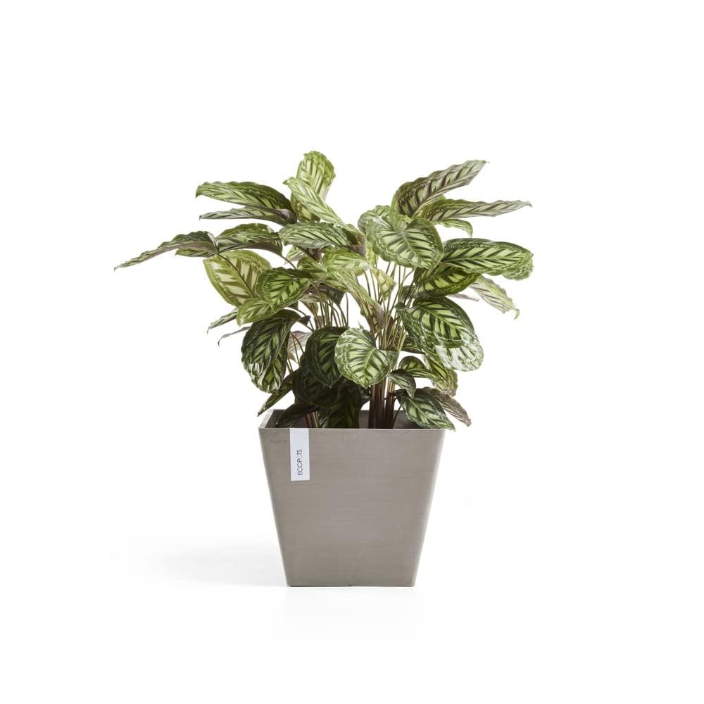 ecopots-rotterdam-pot-carr-50-cm-75-l-taupe image 3