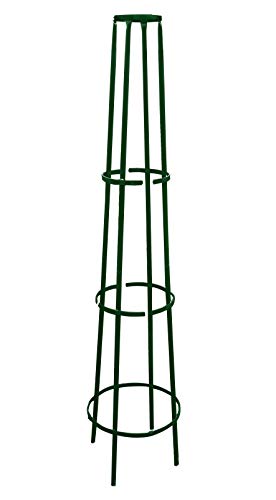 louis-moulin-3824-tuteur-colonne-corset-conique-m-tal-vert-sapin-200-cm image 5