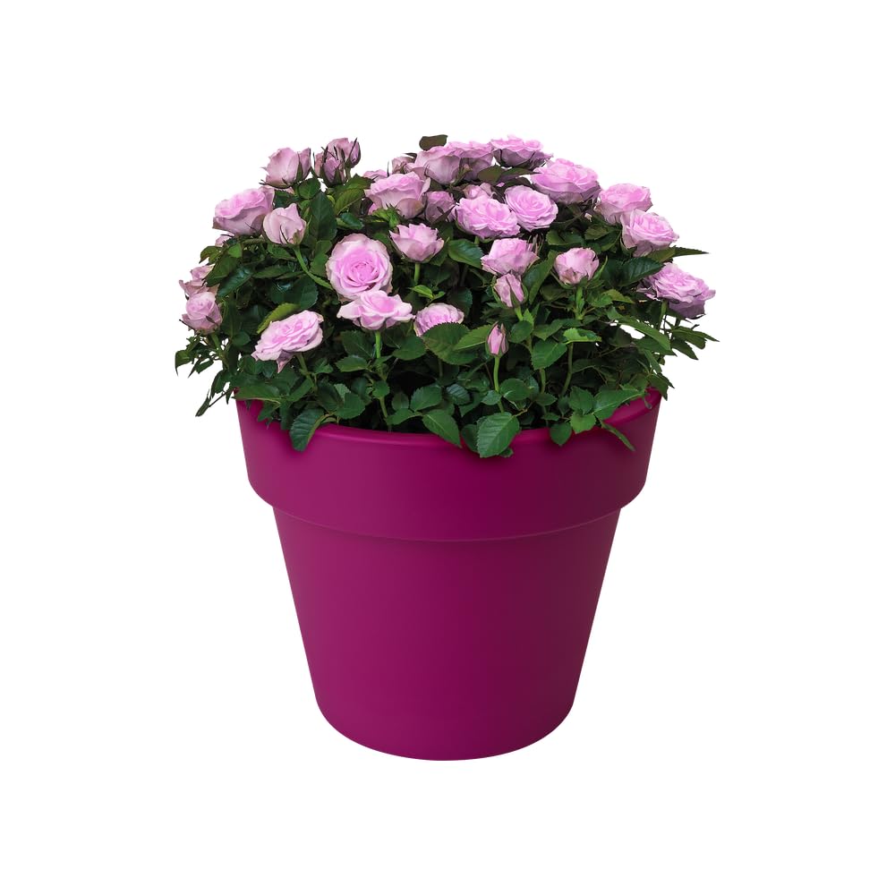 elho-green-basics-top-planter-23-pot-23-0-x-h-19-6-cm-rose-cerise image 6