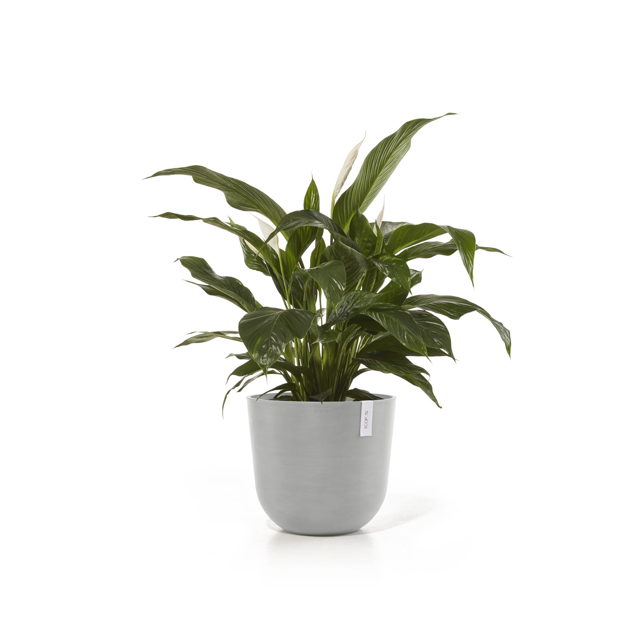 ecopots-oslo-45-pot-rond-blanc-gris-avec-r-servoir-d-eau-45-x-h-39-2-cm-46-6-l image 2