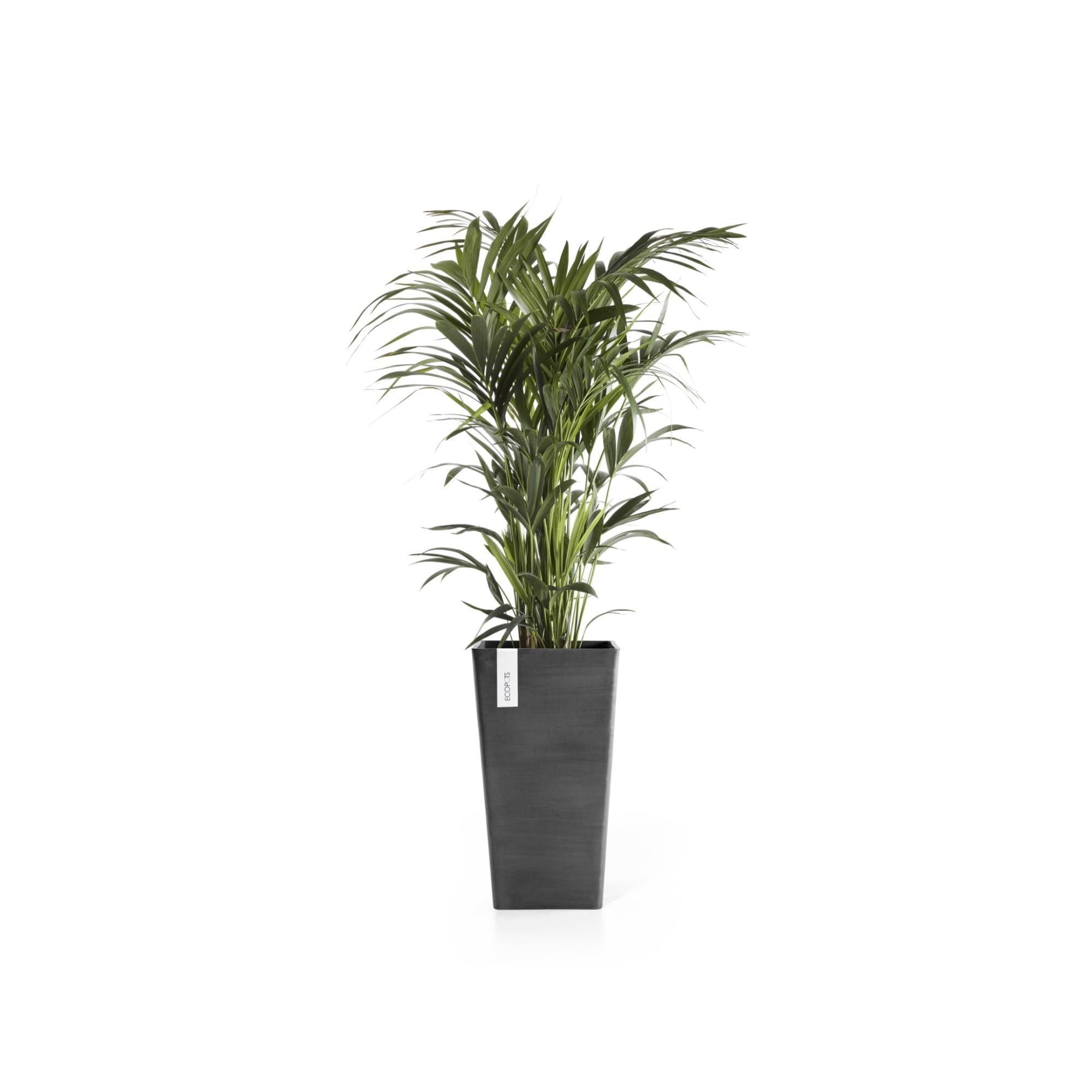 ecopots-rotterdam-haut-gris-fonc-31-x-31-x-h-56-cm-36-2-l image 5