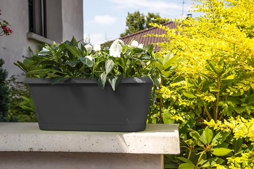 eda-chorus-jardini-re-7-5-l-gris-anthracite-39-8-cm image 5