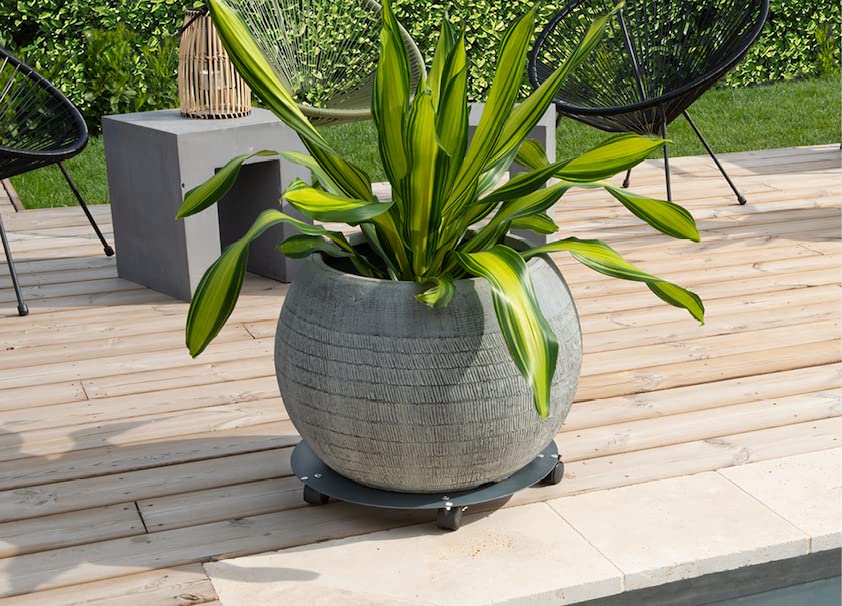louis-moulin-roule-plante-design-rond-40-cm-anthracite image 7