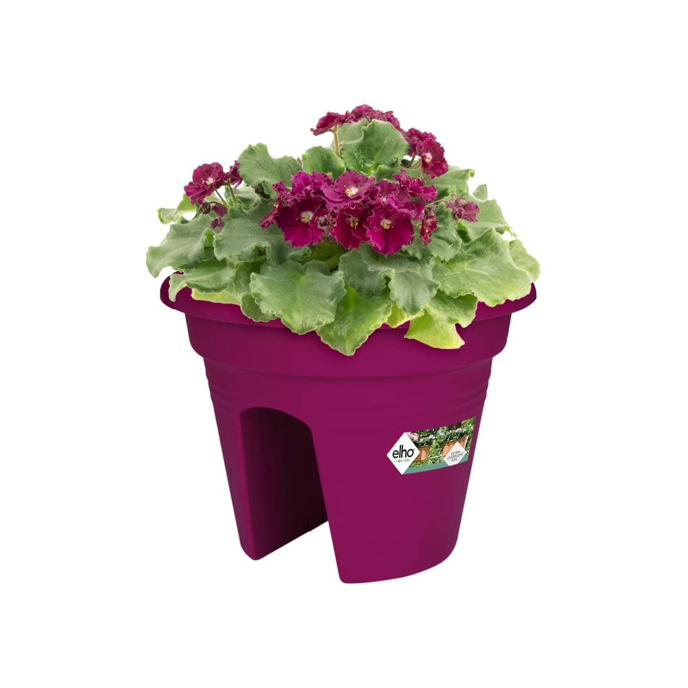 elho-green-basics-flower-bridge-55-jardini-re-de-balcon-vert-lime image 8