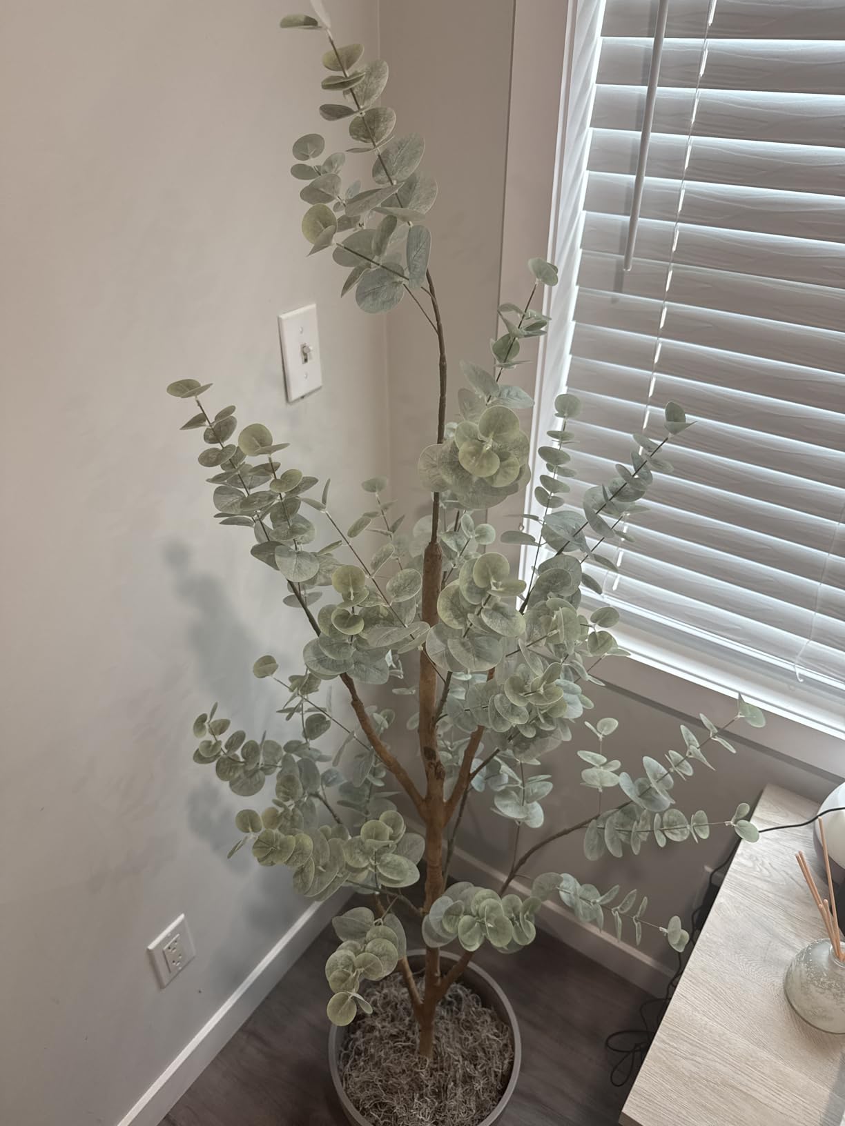 Mon coup de cœur déco