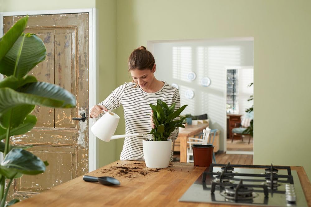 elho-self-watering-insert-24-cm-insert-arrosage-living-noir-23-7-x-h-22-2-cm image 8