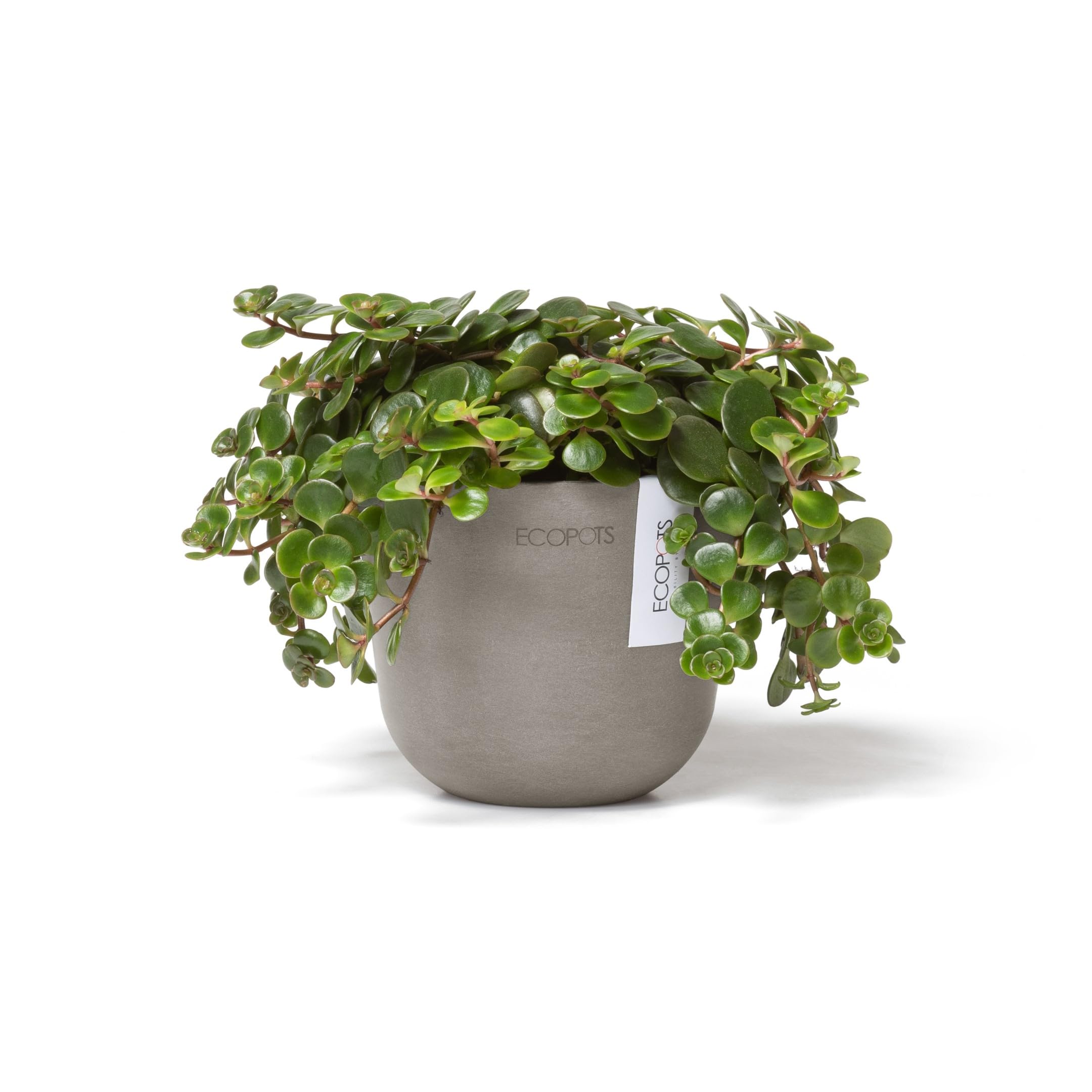 ecopots-oslo-mini-pot-taupe-d-11-x-h-9-6-cm image 2