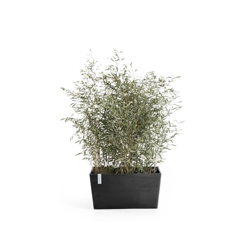 ecopots-paris-100-jardini-re-gris-fonc-99-x-46-x-h-50-cm-170-l image 5