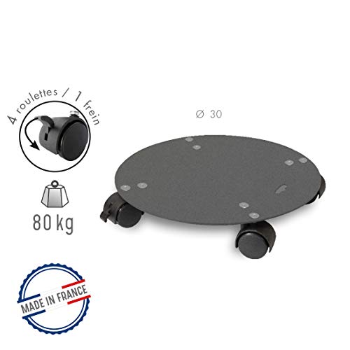 louis-moulin-roule-plante-design-anthracite-30-cm-8103-made-in-france image 5
