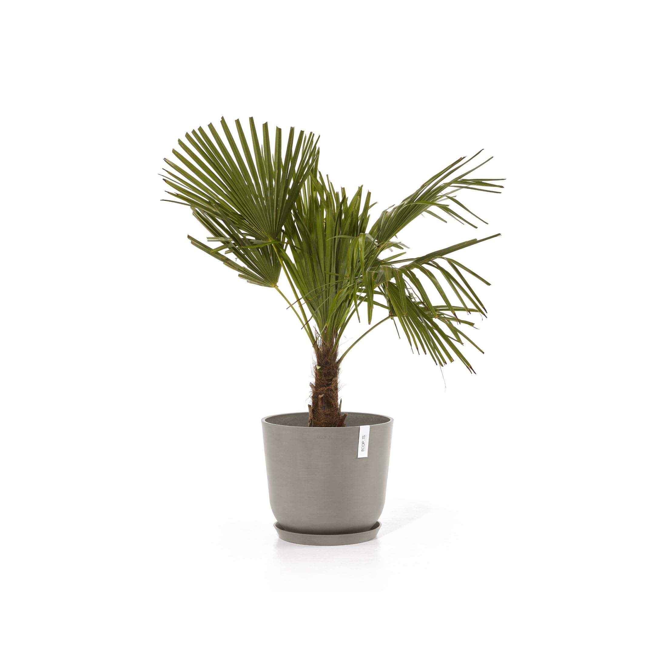 ecopots-oslo-pot-rond-35-cm-21-7-l-avec-r-servoir-d-eau-taupe image 8
