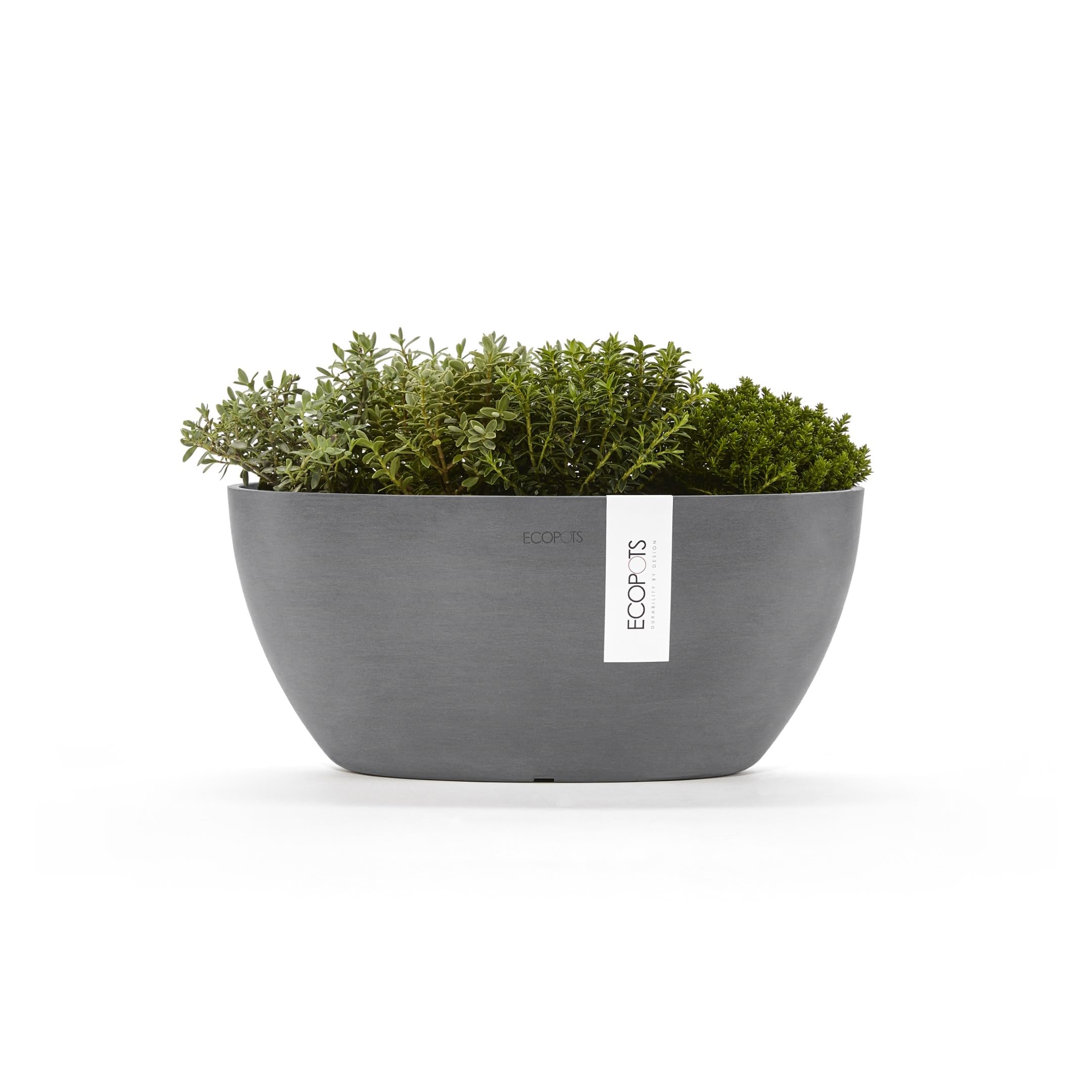 ecopots-sofia-pot-ovale-30-gris-avec-r-servoir-d-eau-30-x-13-x-h-13-5-cm-2-7-l image 3