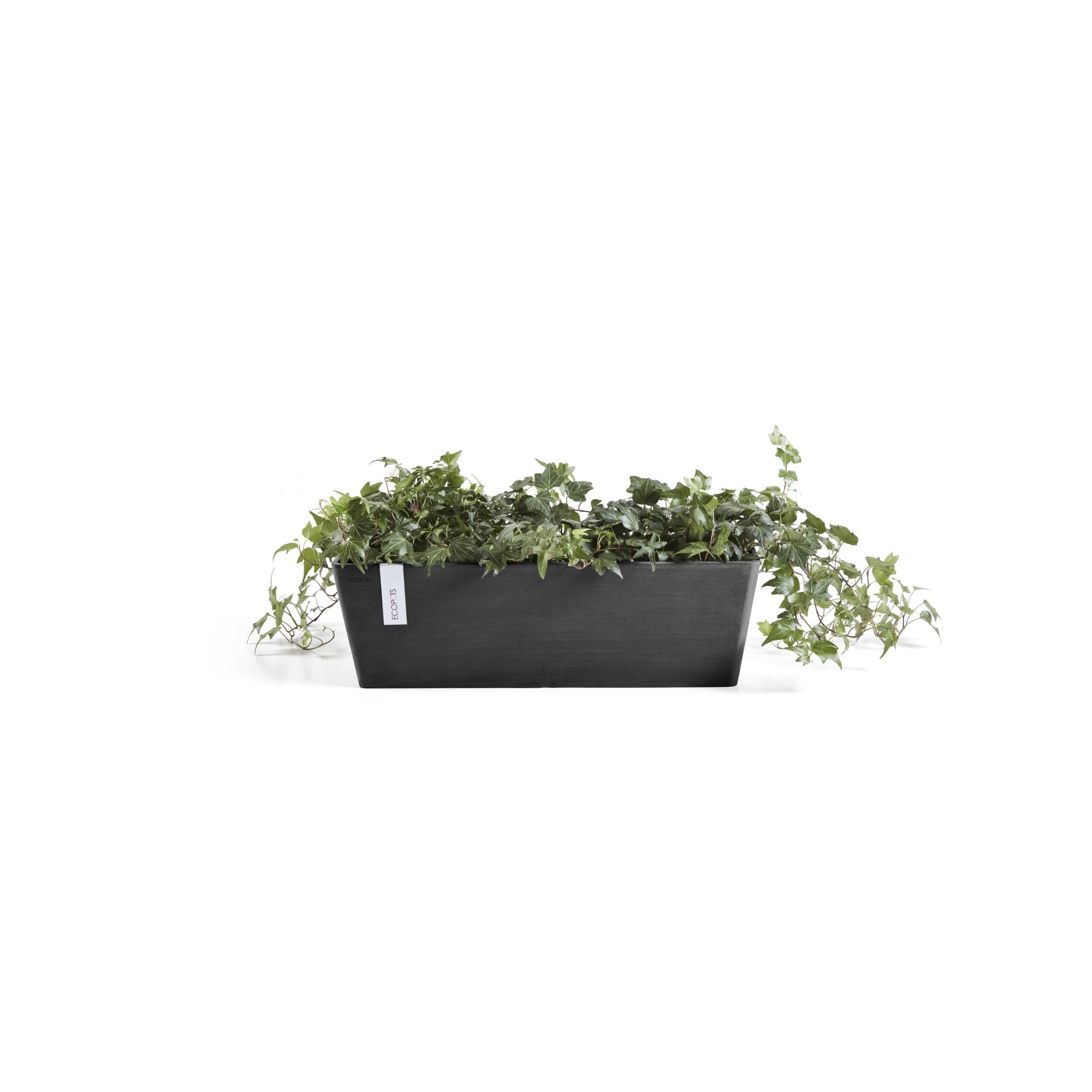 ecopots-bruges-jardini-re-rectangulaire-55-cm-gris-fonc-55-x-17-x-h-17-cm-12-l image 2