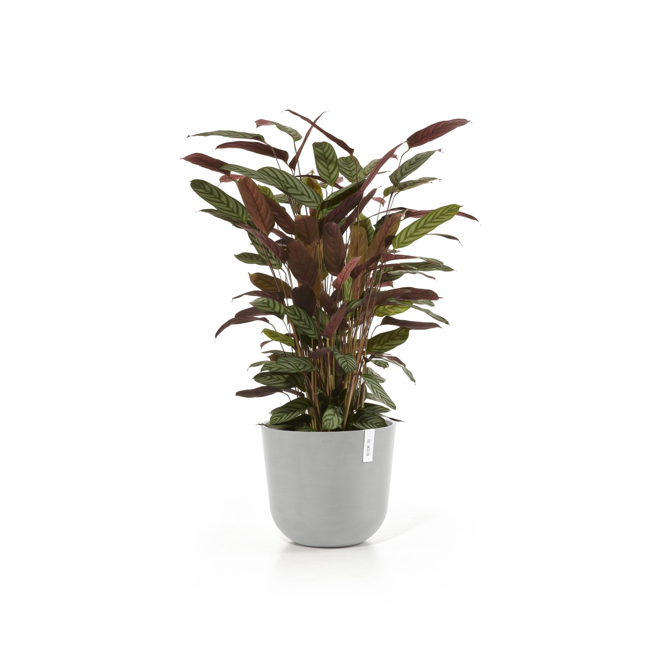 ecopots-oslo-35-pot-rond-blanc-gris-avec-r-servoir-d-eau-35-x-h-30-5-cm-21-7-l image 2