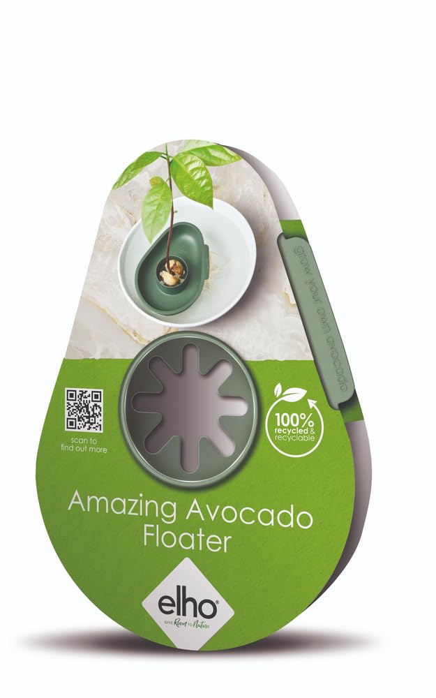 elho-amazing-avocado-floater-leaf-green-flotteur-germination-noyau-d-avocat image 3