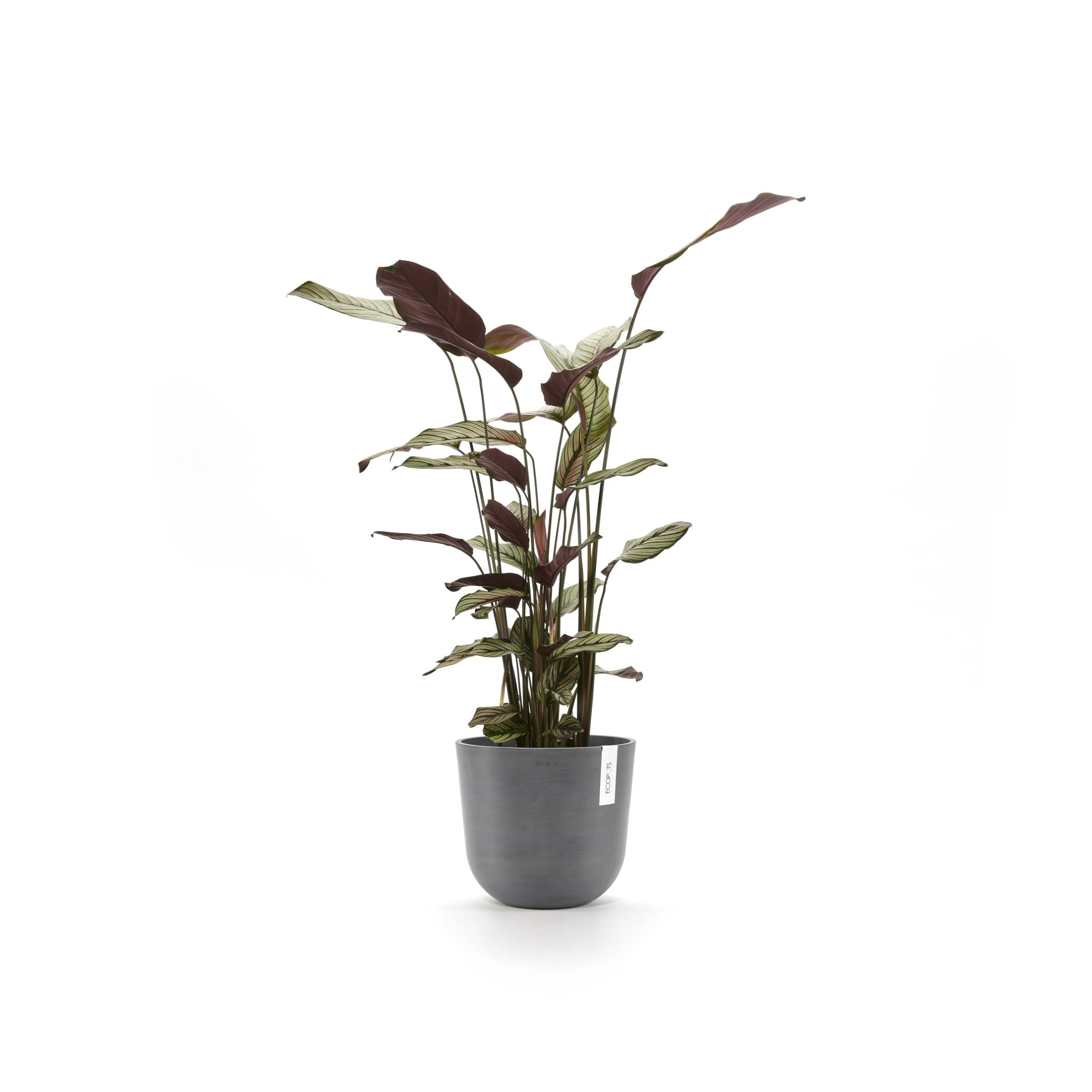 ecopots-oslo-25-pot-rond-25-x-h-21-8-cm-7-7-l-gris image 2