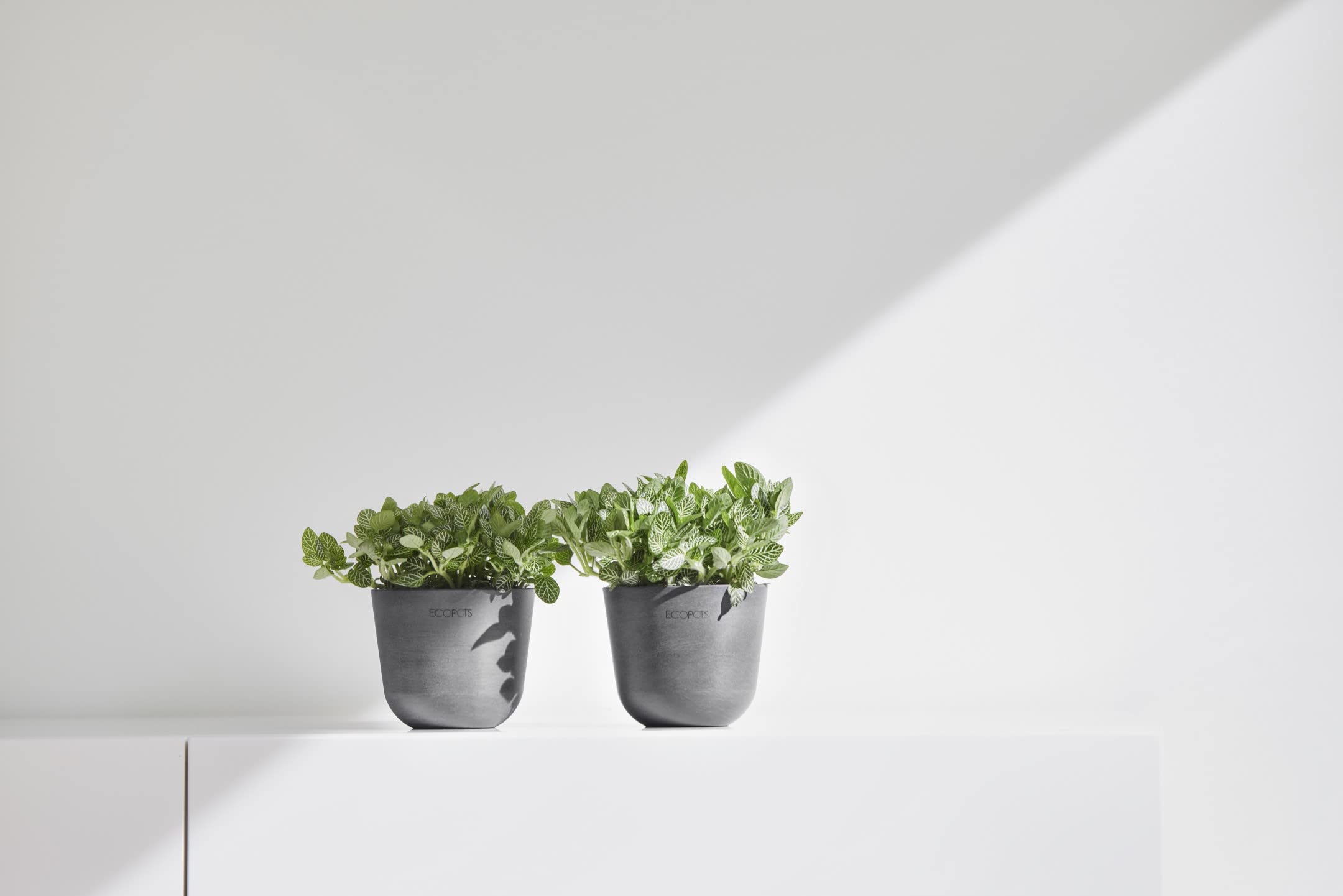 ecopots-oslo-mini-pot-gris-d-11-x-h-9-6-cm image 4