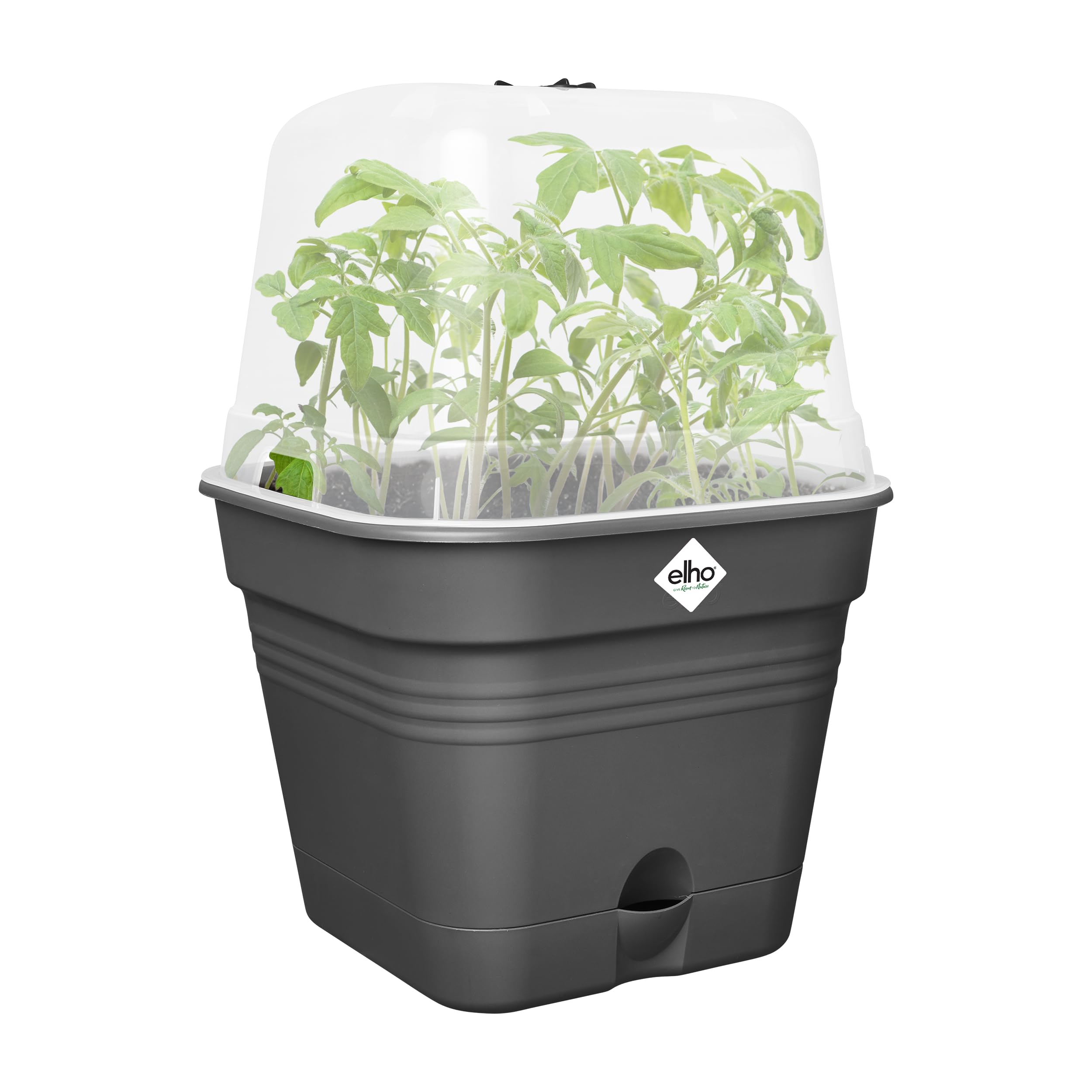 elho-green-basics-allin-1-pot-de-culture-15cm-living-noir-avec-propagateur image 2