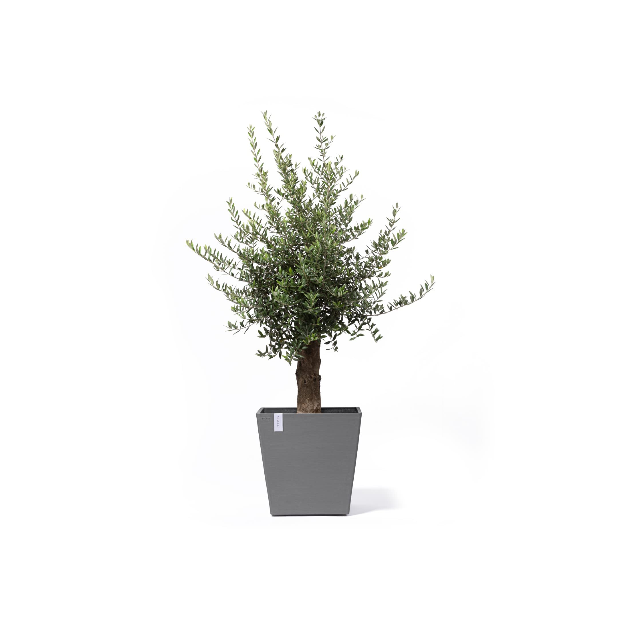 ecopots-rotterdam-grand-pot-carr-roulettes-gris-50-x-50-cm image 5