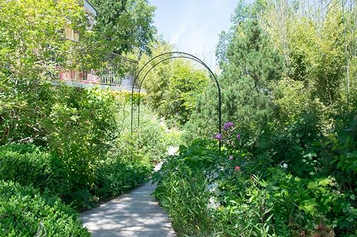 louis-moulin-treillage-arche-de-jardin-250-x-180-x-50-cm-anthracite image 8