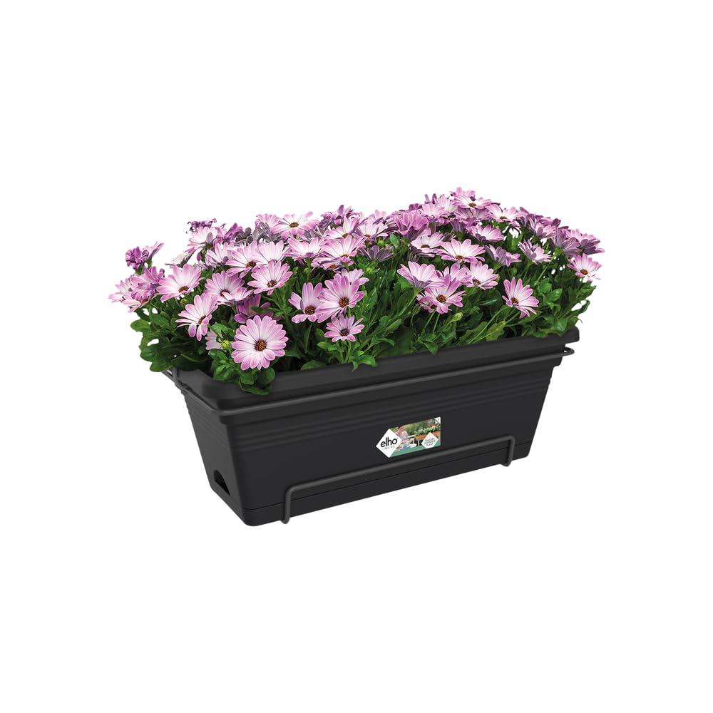 elho-green-basics-balconni-re-xl-allin-1-55-cm-18-l-living-noir-avec-soucoupe image 3