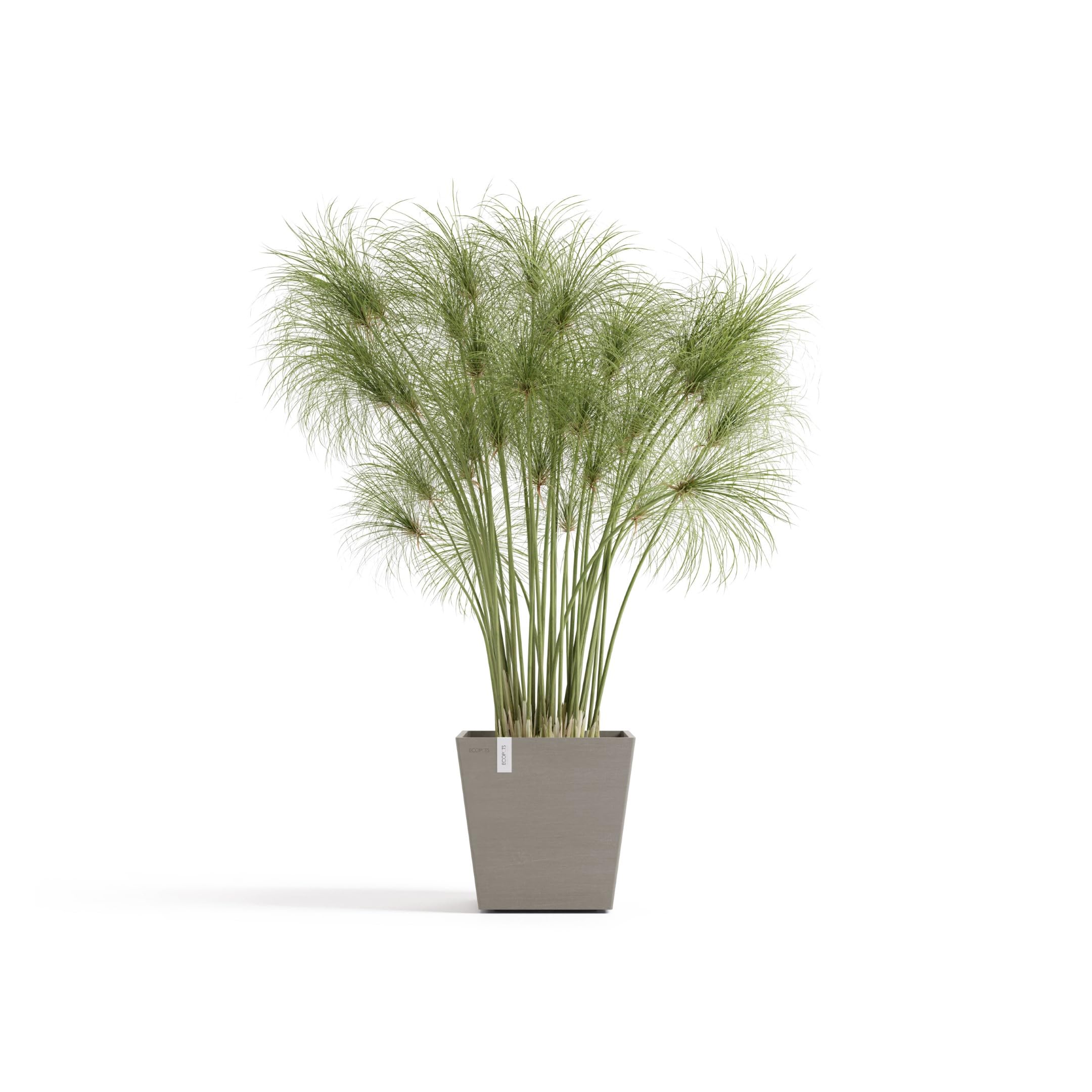 ecopots-rotterdam-25-pot-carr-taupe-avec-r-servoir-d-eau-25-2-x-25-2-x-h-24-5-cm image 2