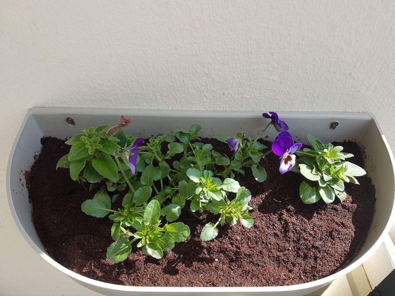 Balcon transformé