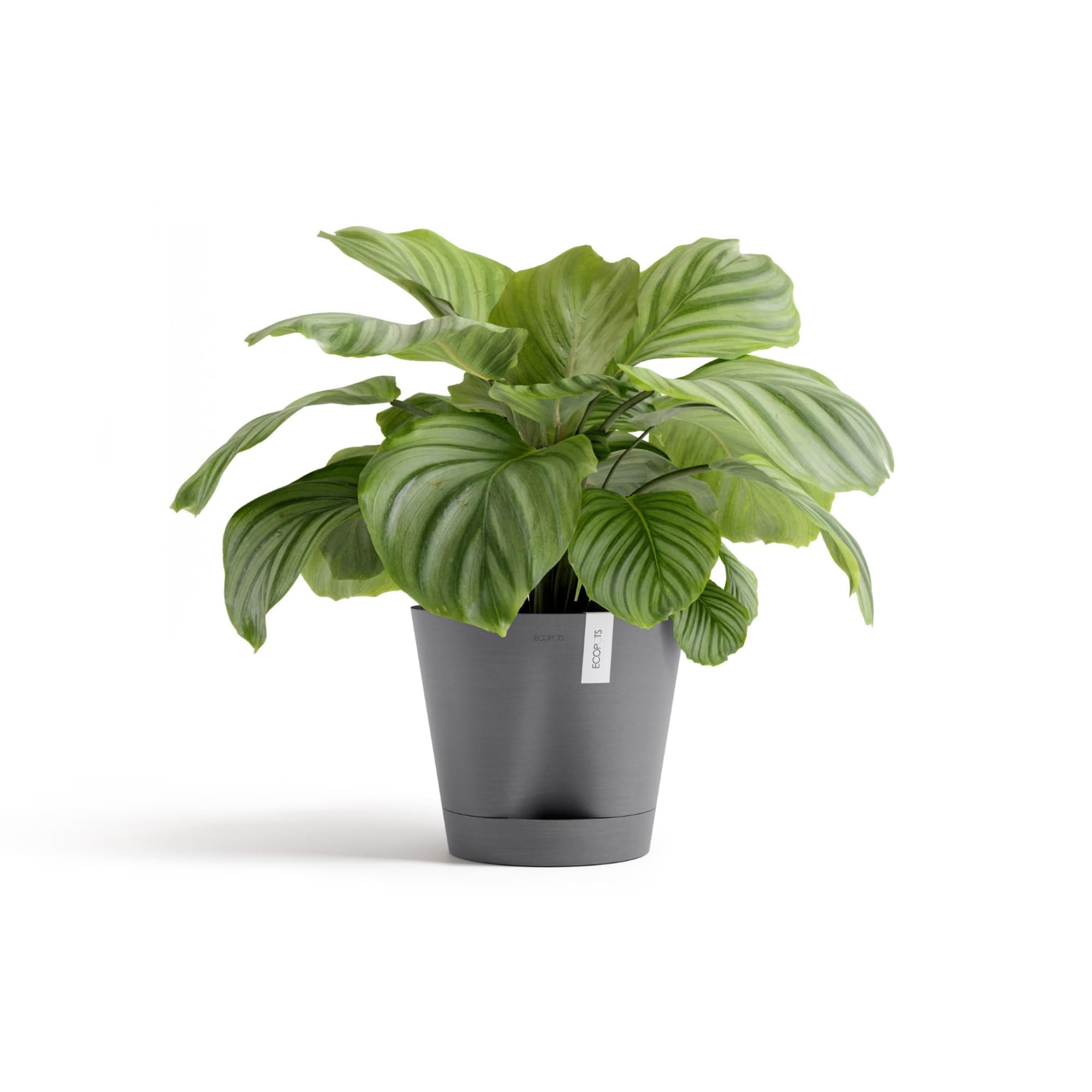 ecopots-venice-2-pot-rond-gris-30-x-h-26-3-cm-4-l-avec-r-servoir image 3