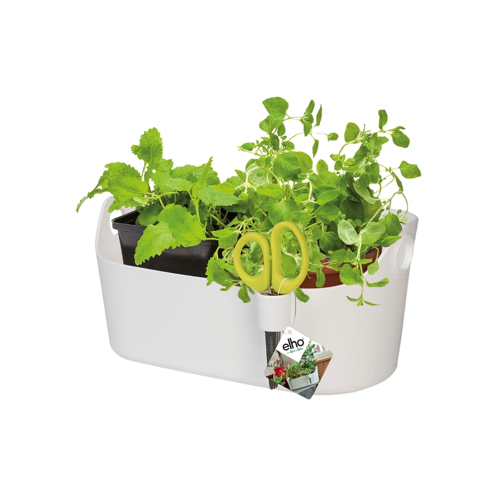 elho-brussels-herbes-station-30-blanc-support-herbes-aromatiques-ciseaux image 3