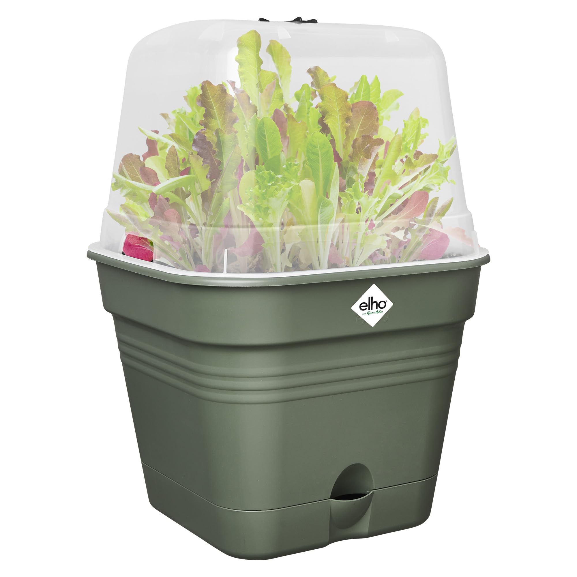 elho-green-basics-allin-1-pot-de-culture-15cm-living-noir-avec-propagateur image 6
