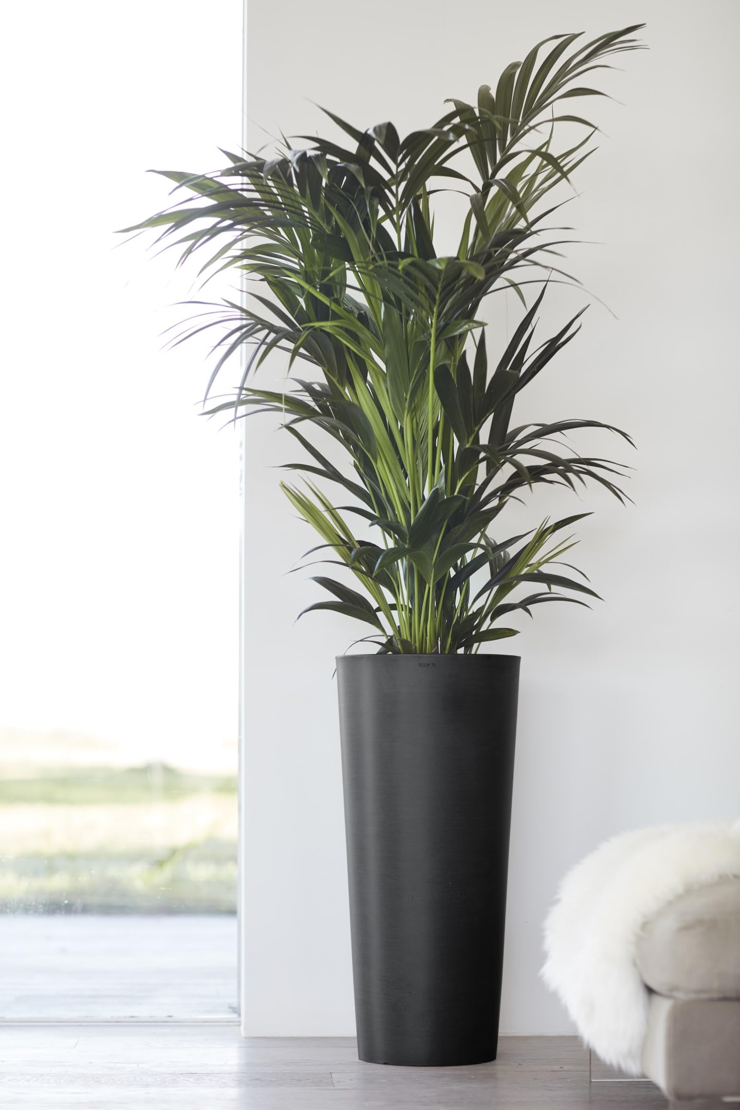 ecopots-pot-haut-amsterdam-66-gris-fonc-34-x-h-66-cm-35-6-l image 3