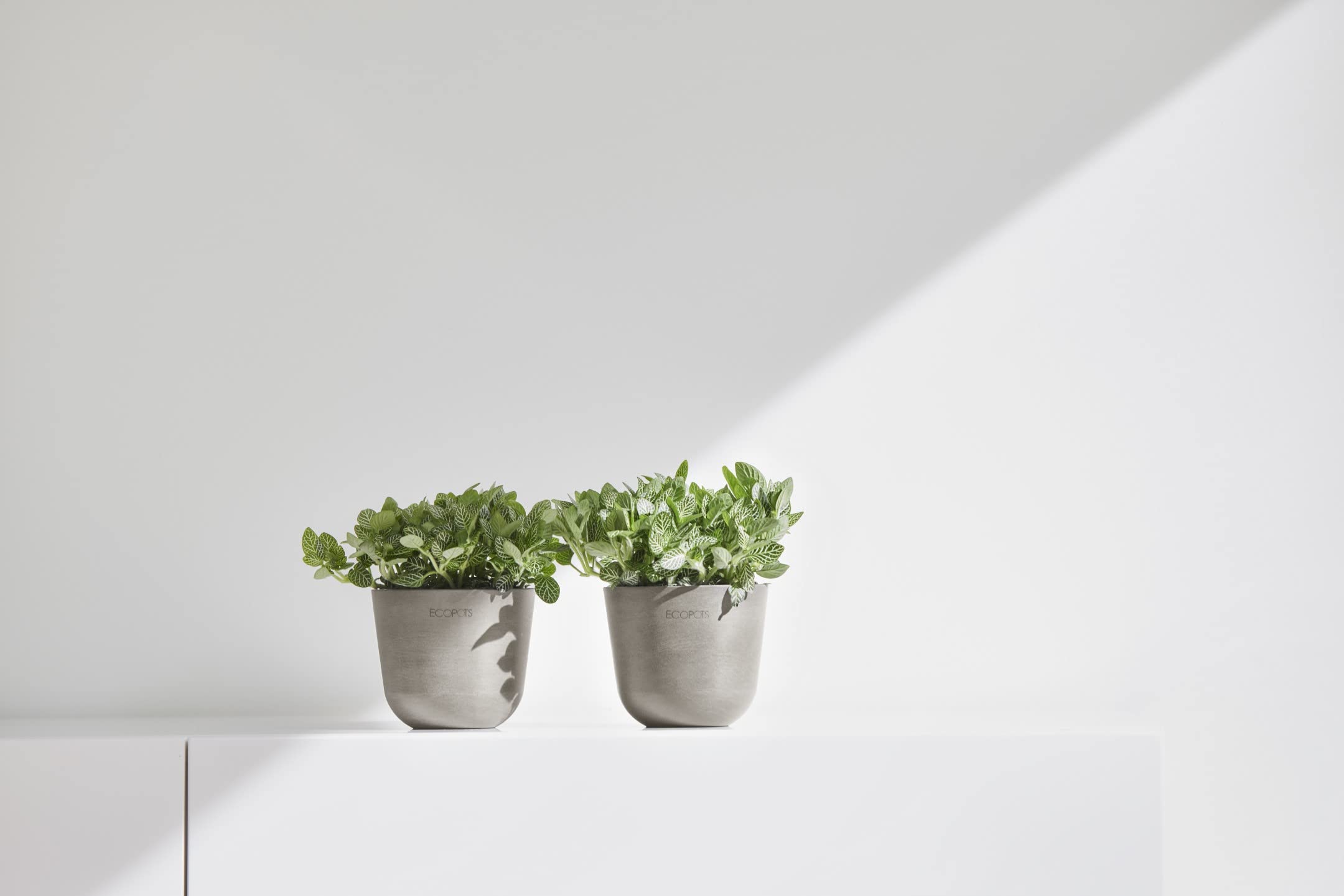 ecopots-oslo-mini-pot-taupe-d-11-x-h-9-6-cm image 4